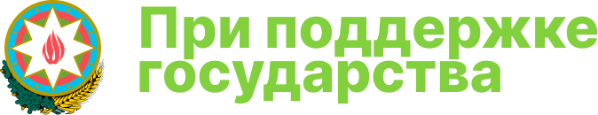 Гос поддержка